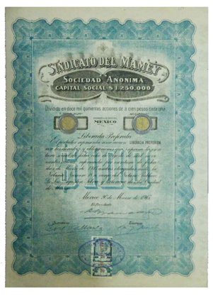 Accion Sindicato Del Mamey (Id: 767)